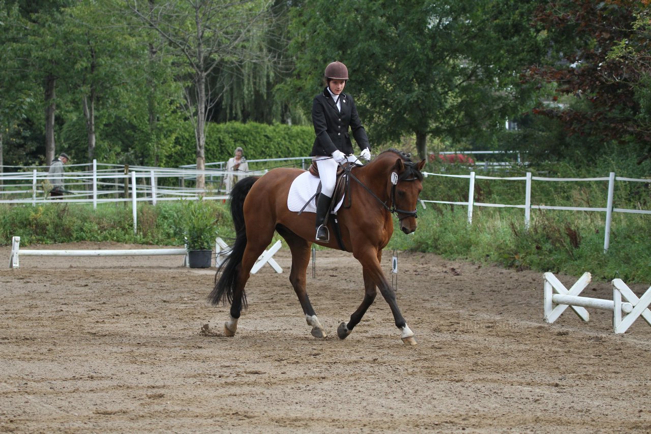 Bild 207 - WBO-Turnier am 18.9.11